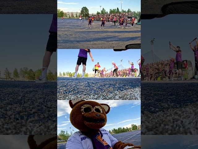 Kajaani on pesiskaupunki! 🟣🟠